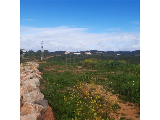 Rustic land with 3820m2, Tavira, Algarve