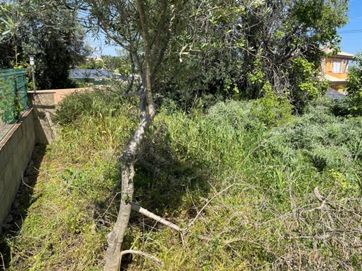 Plot of Land with Ruin in Boliqueime, Algarve