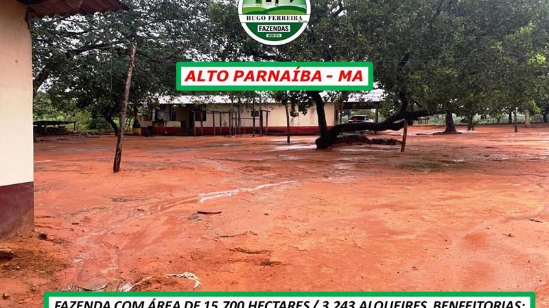 Purchase: Business premises (65810-000)