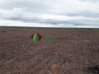 Purchase: Business premises (65888-000)