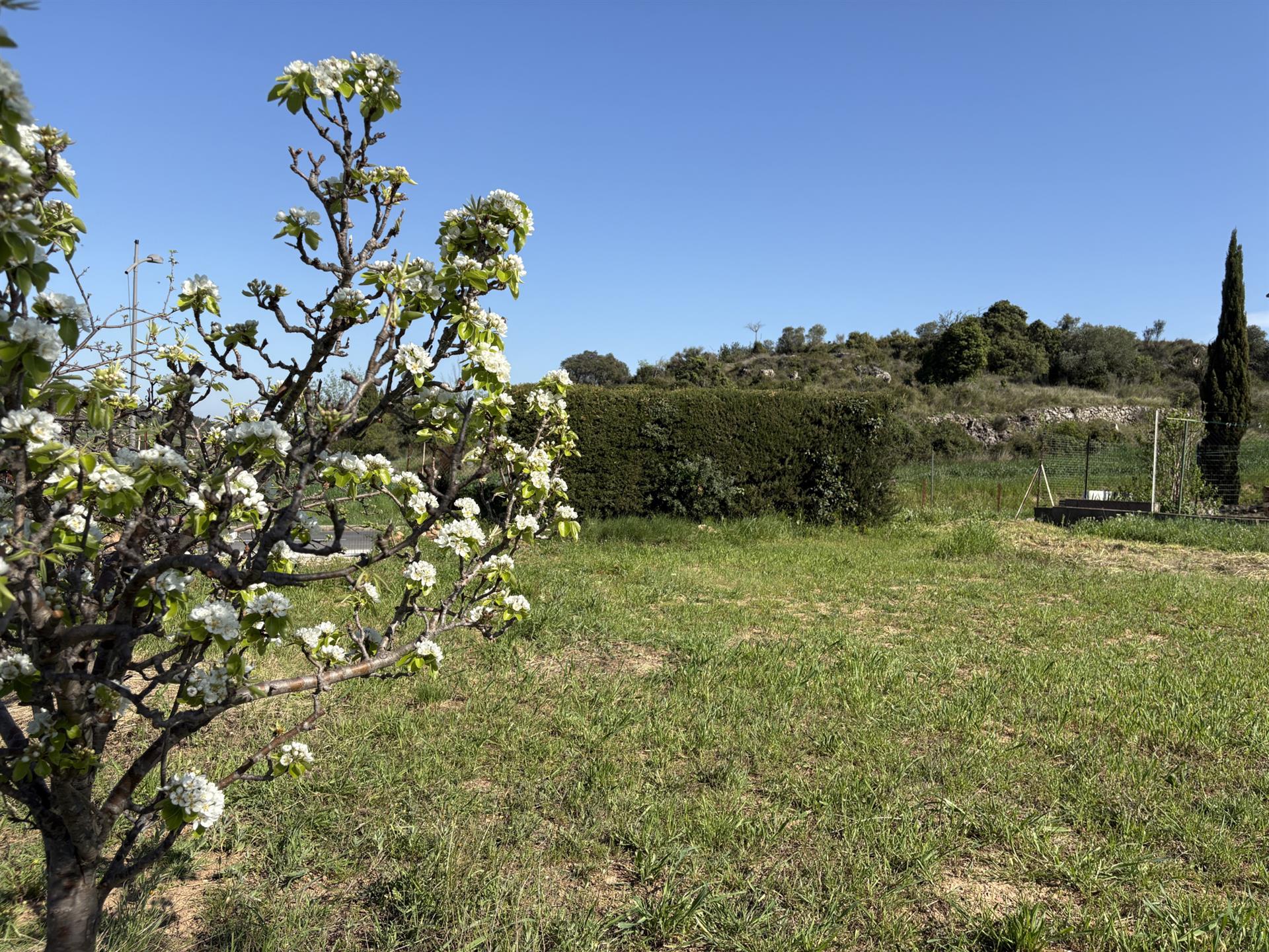 Building land - Serviced