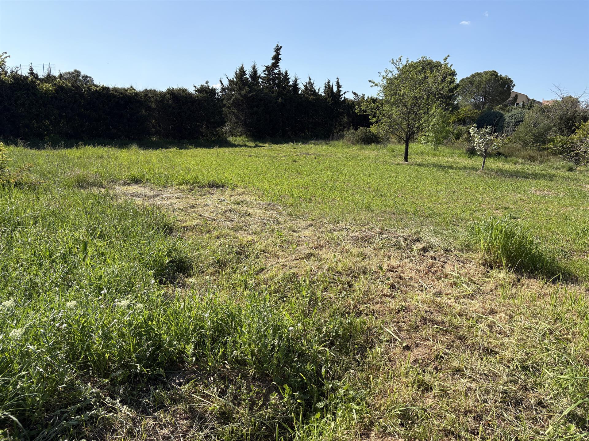 Building land - Serviced