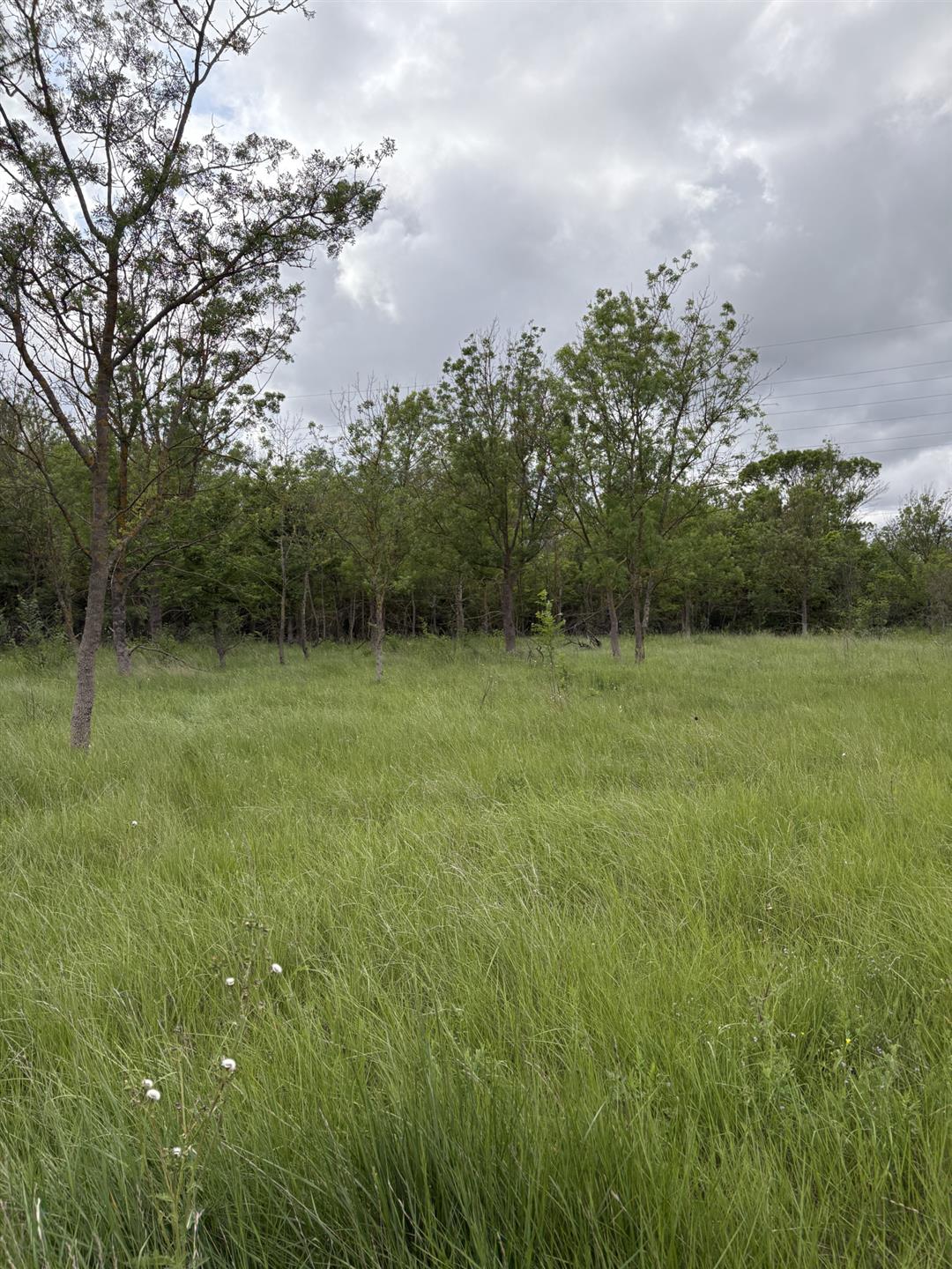 Recreational land in Florensac.