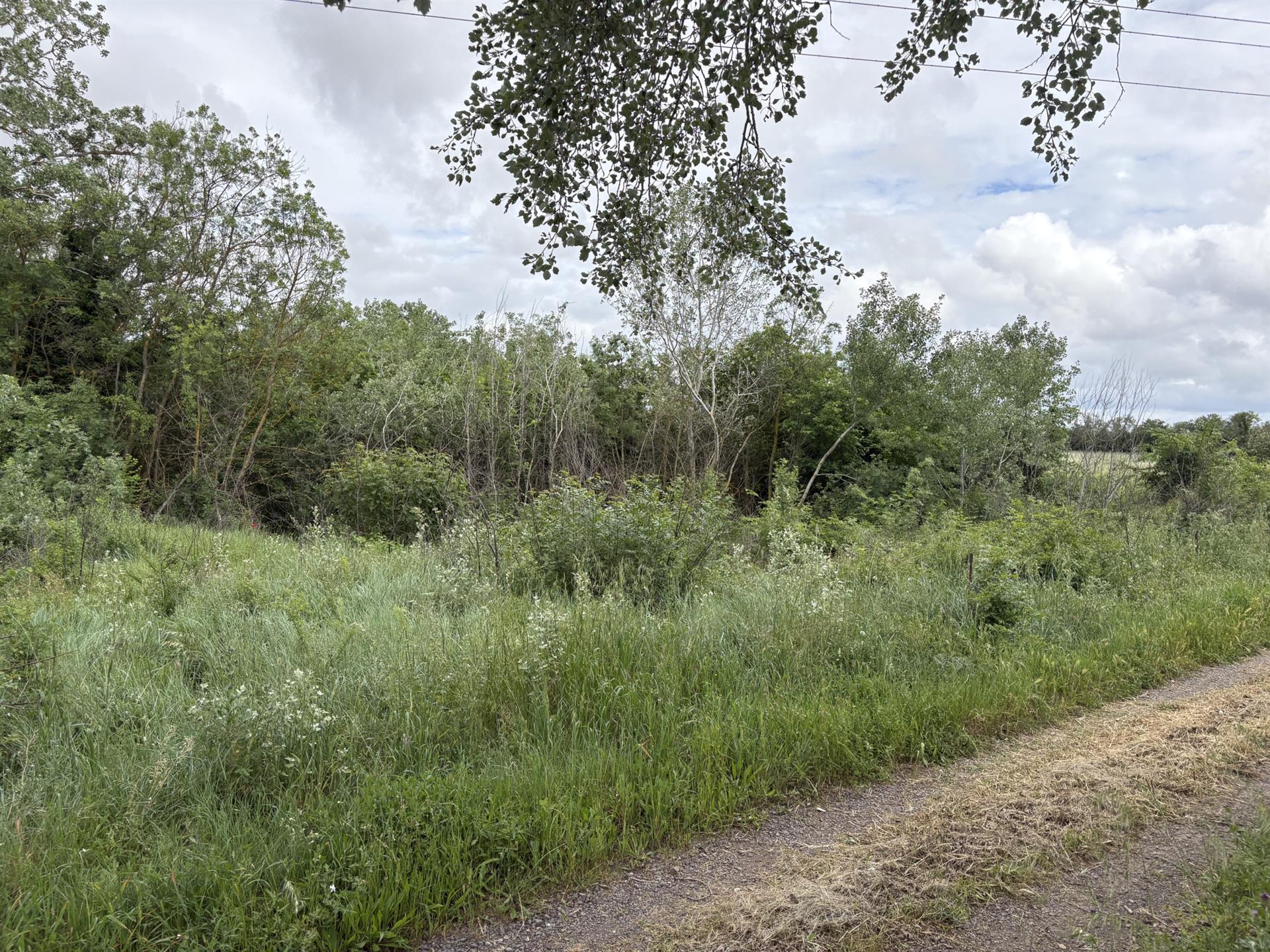 Recreational land in Florensac.