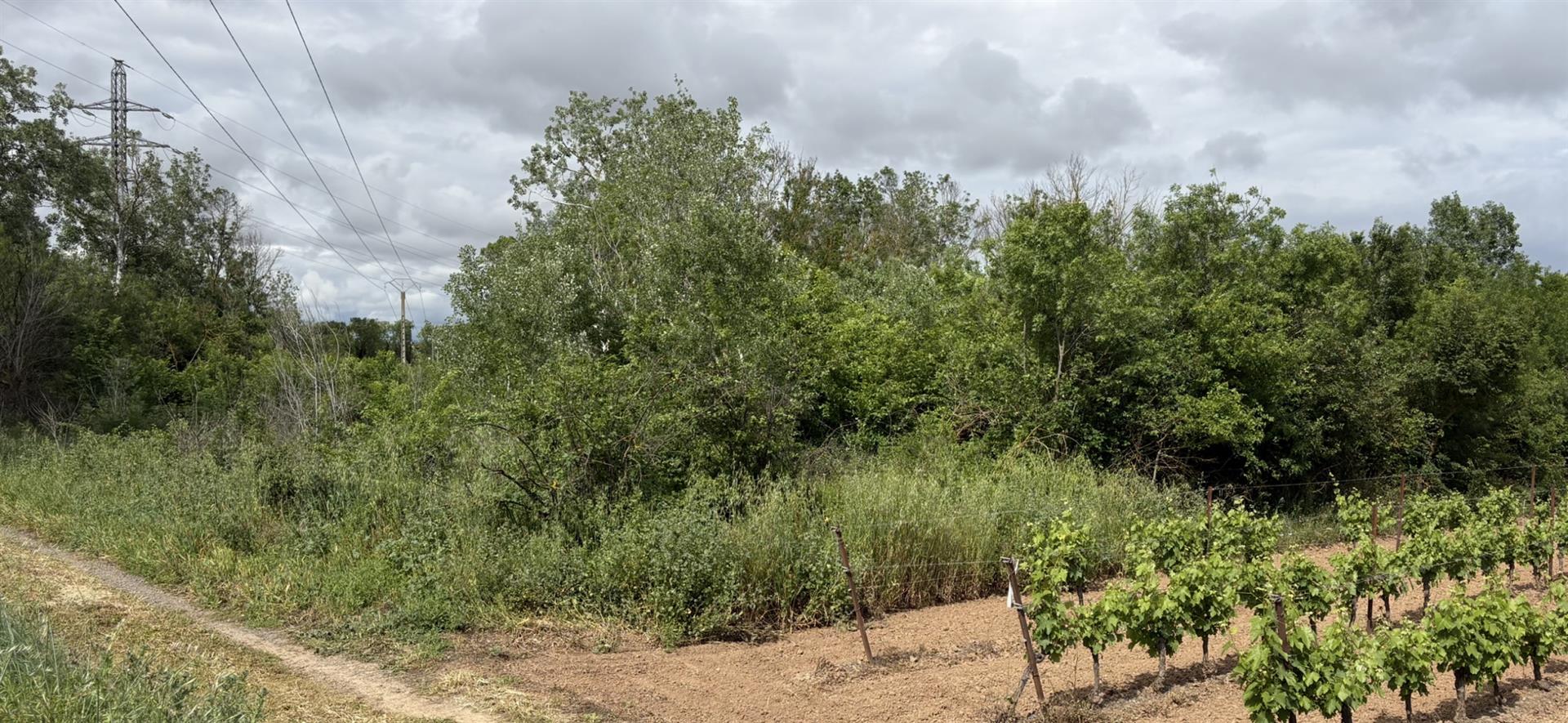 Recreational land in Florensac.