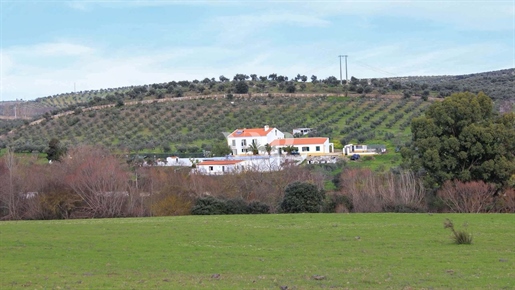 Campo Maior - Сказочная ферма с рейтингом заповедника