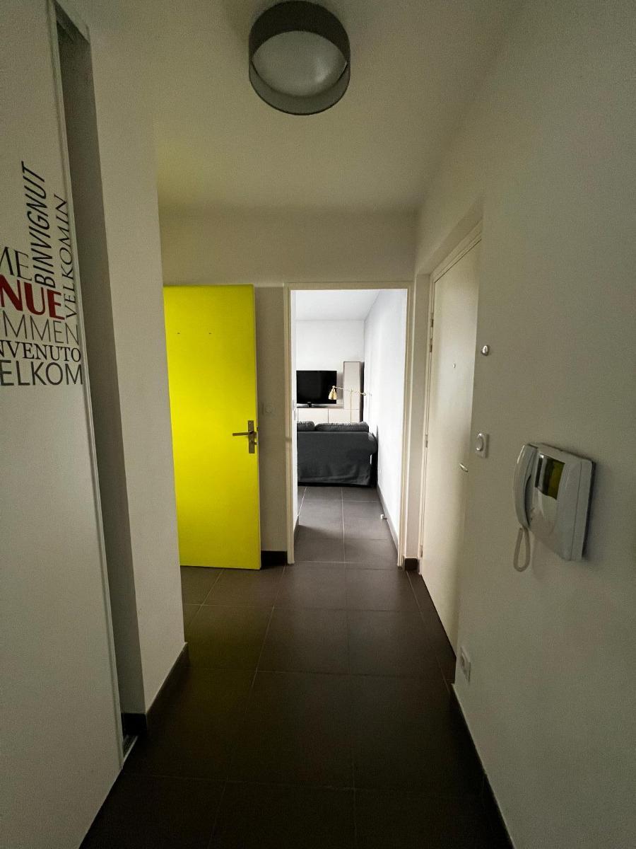 Appartement à louer, 41m², Lyon 7ème