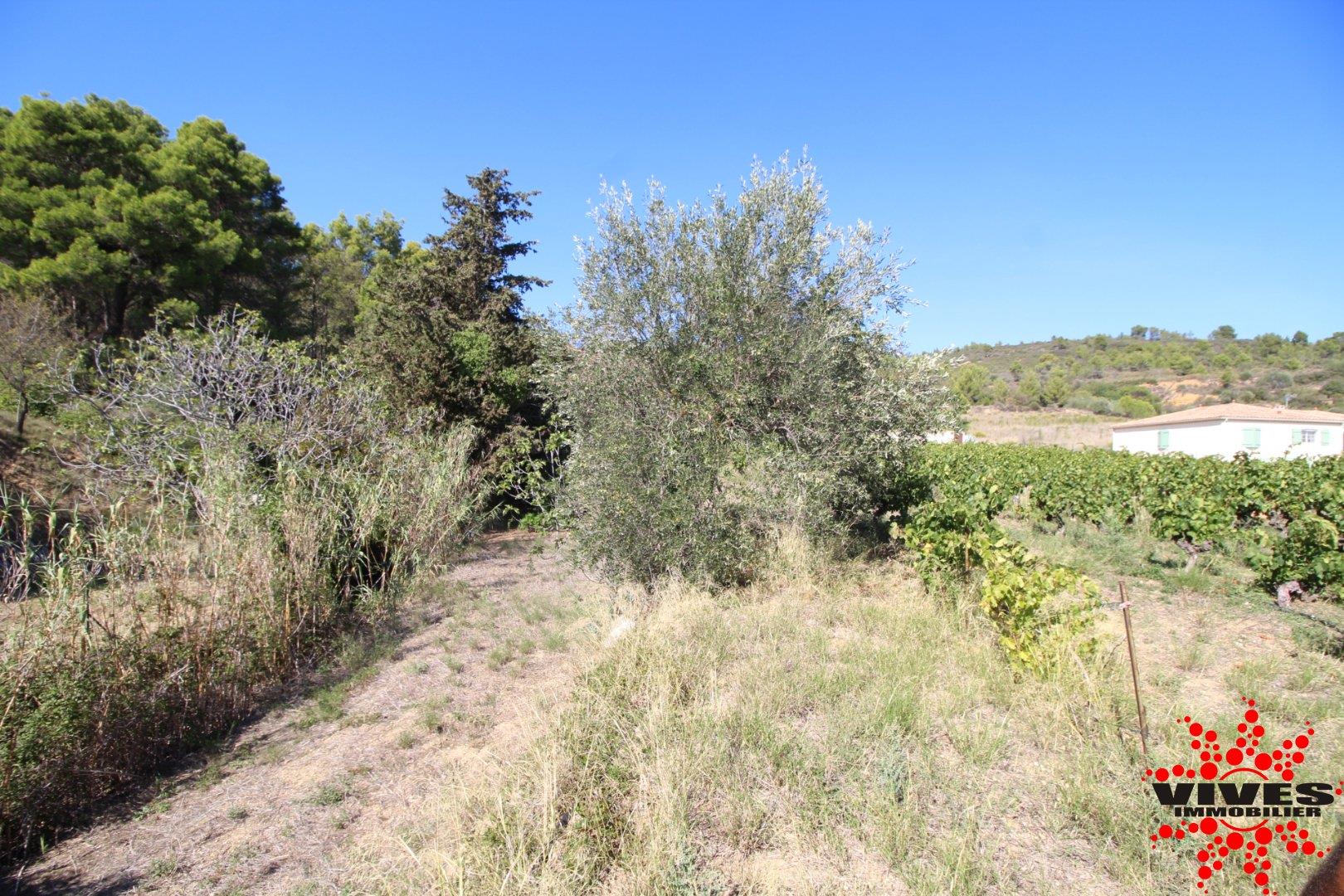 Building land