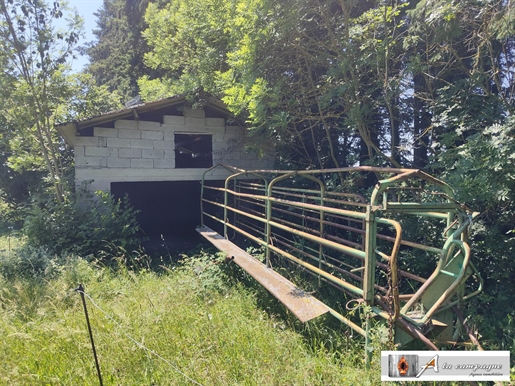 Casa para reformar con terreno