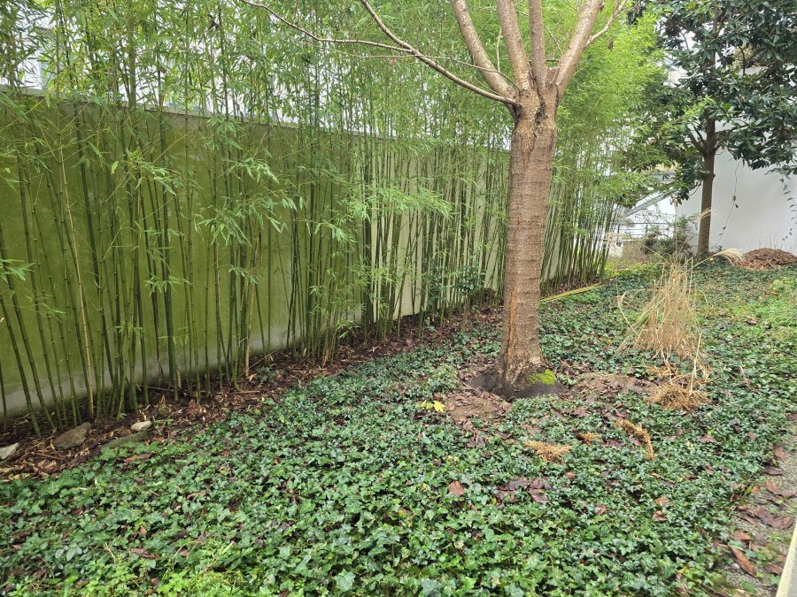 Appartement à vendre, 27m², Nantes