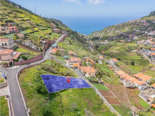 Terreno Venda Câmara de Lobos