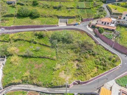 Terreno Venda Câmara de Lobos