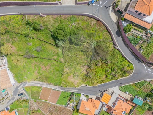 Terreno Venda Câmara de Lobos