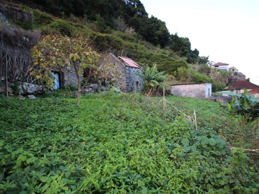 Land Sale Porto Moniz