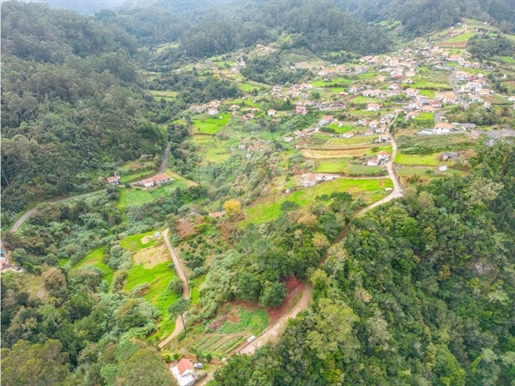 Terreno In vendita Santana