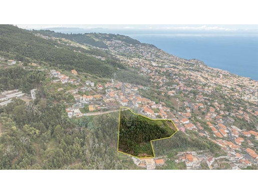 Terreno Venta Funchal