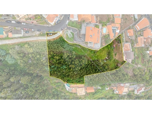 Terreno Venta Funchal