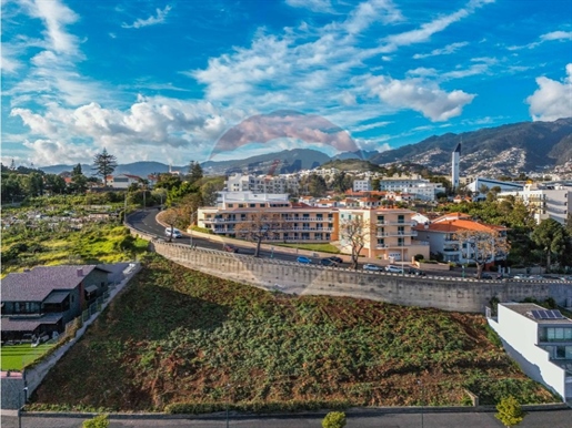 Terreno Venta Funchal