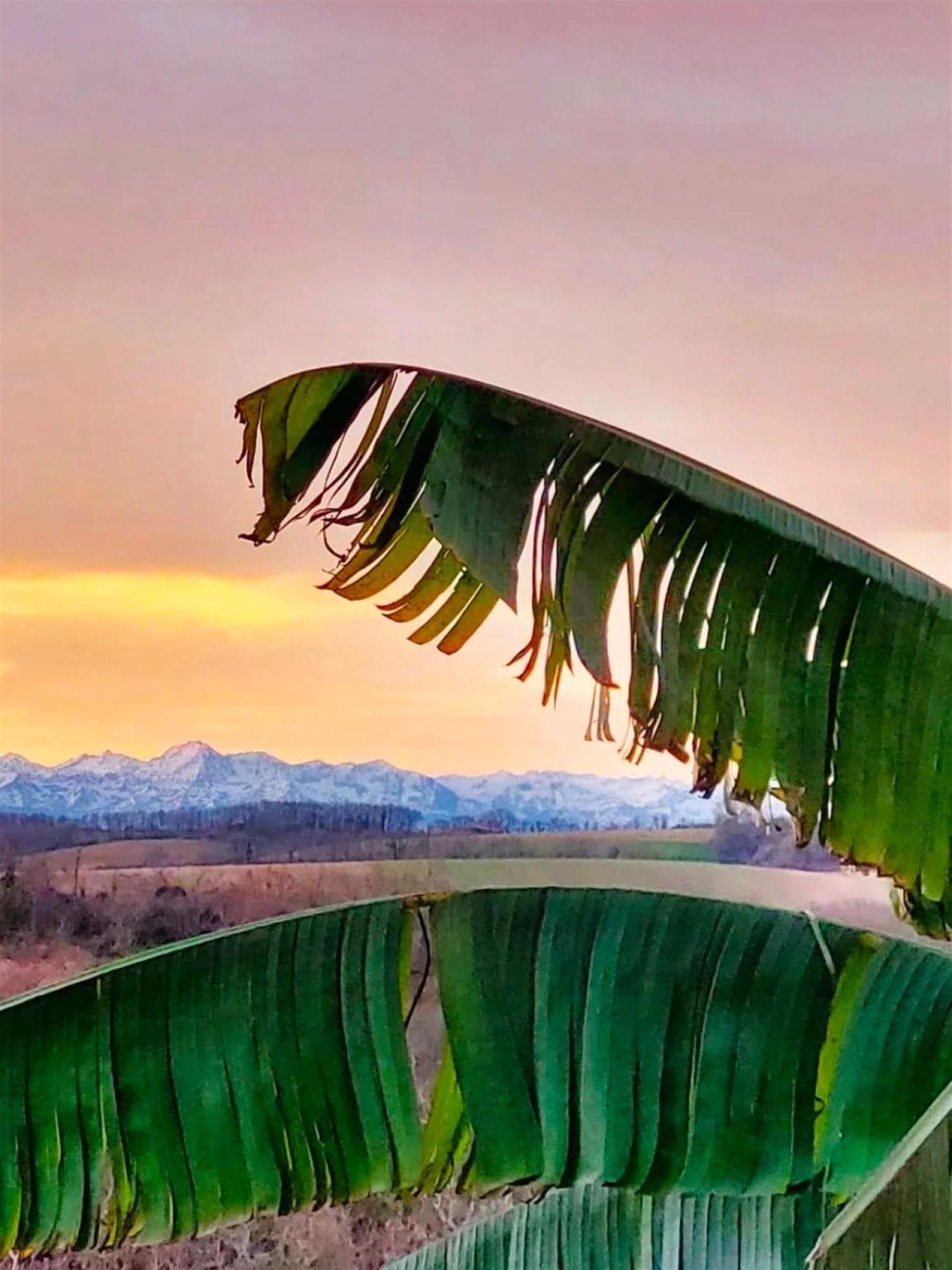 Maison à vendre, 190m², Auch