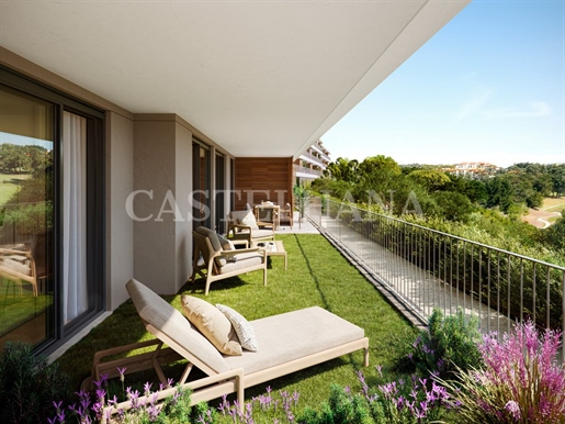 Advert picture
