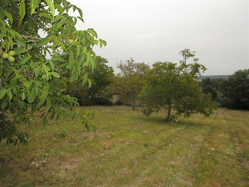 Advert picture