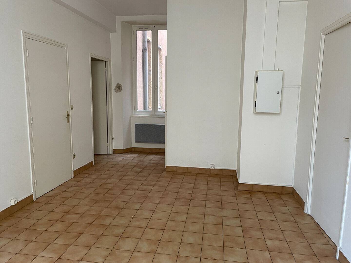 Appartement à louer, 46m², Lyon 2ème