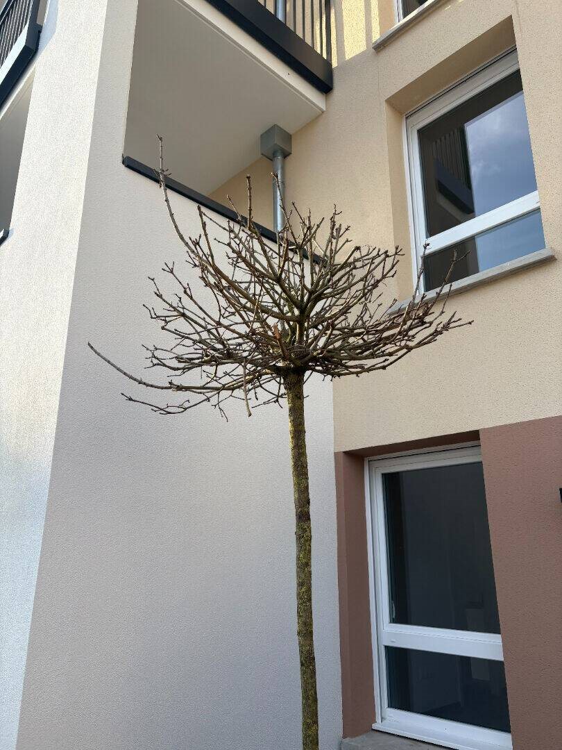 Appartement à louer, 49m², Metz