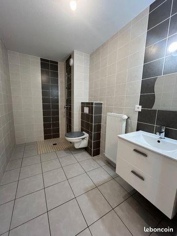 Appartement à louer, 48m², Metz