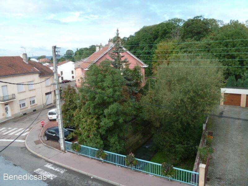 Appartement à louer, 53m², Boulay-Moselle
