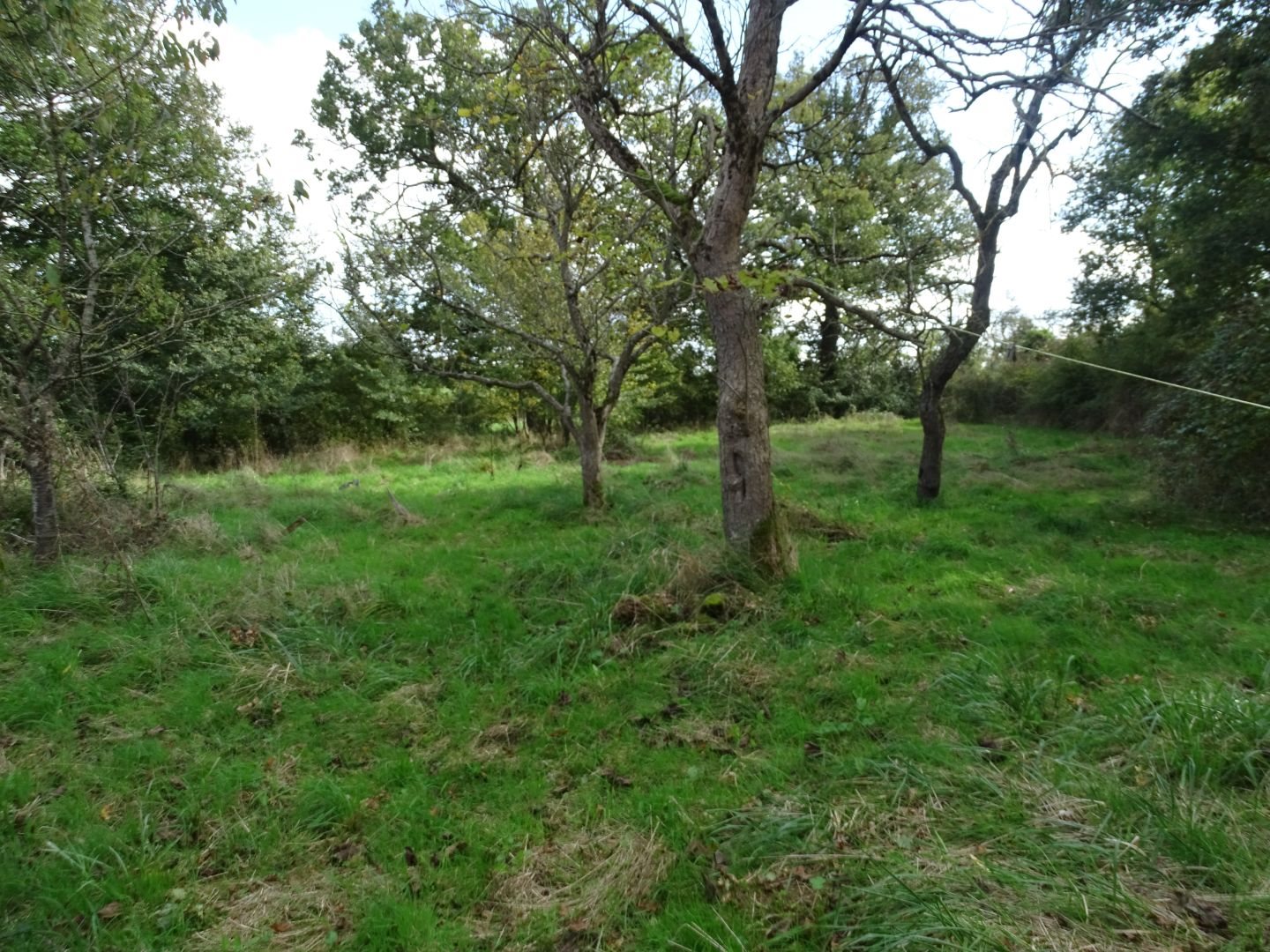 Maison à vendre, 80m², Saint-Pierre-les-Bois