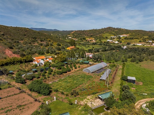 Quinta biológica impressionante com duas casas em 15.000 m2 de terreno fértil