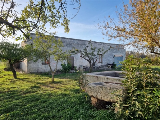 Landelijk eigendom met goedgekeurd project voor een moderne villa nabij Oria