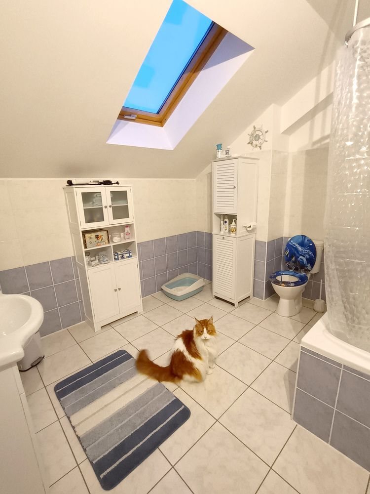 Appartement à vendre, 84m², Théding