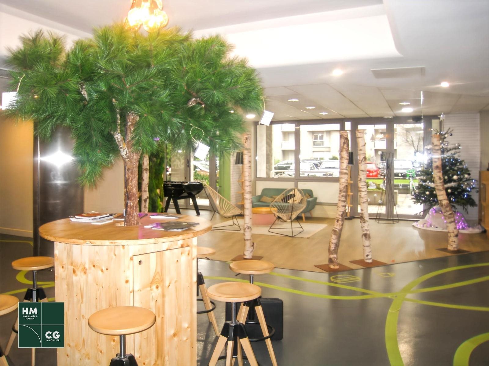 Appartement à vendre, 19m², Strasbourg