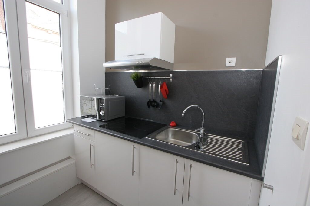 Appartement à louer, 17m², Wattignies