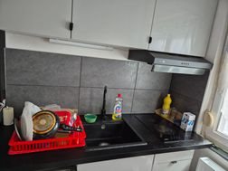 Appartement à louer, 38m², Strasbourg