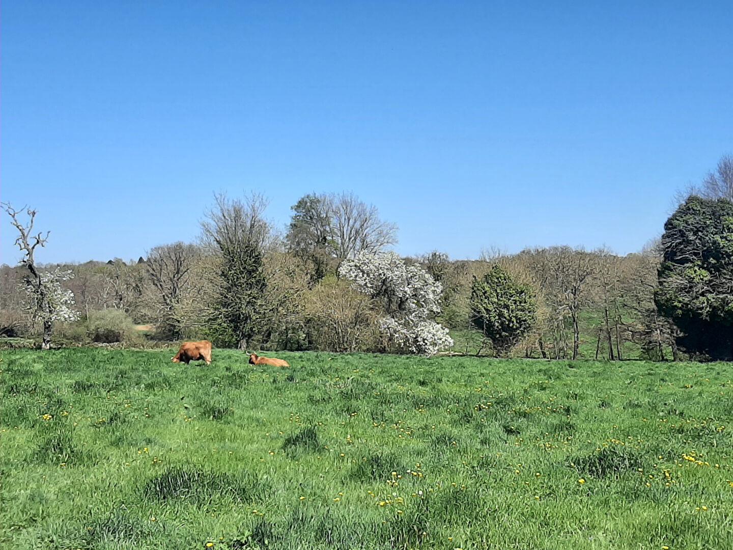 Maison à vendre, 87m², La Châtre-Langlin