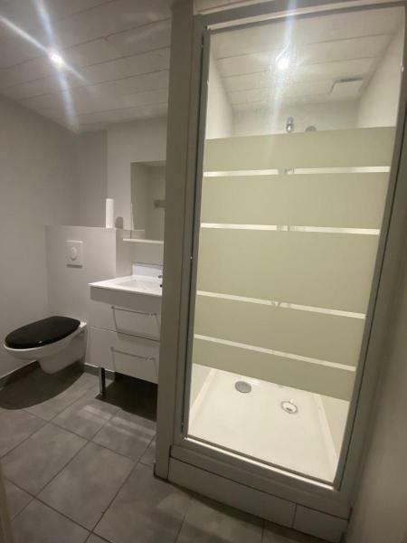 Appartement à louer, 36m², Saint-Etienne