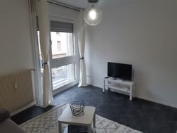 Appartement à louer, 19m², Metz
