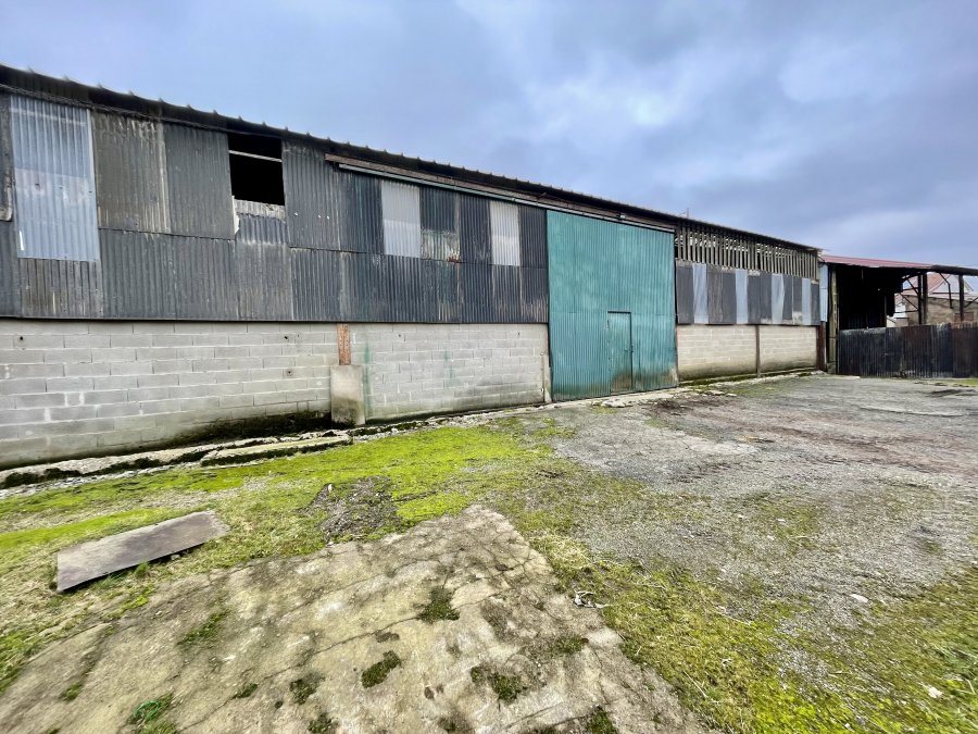 Maison à vendre, 180m², Audun-le-Tiche