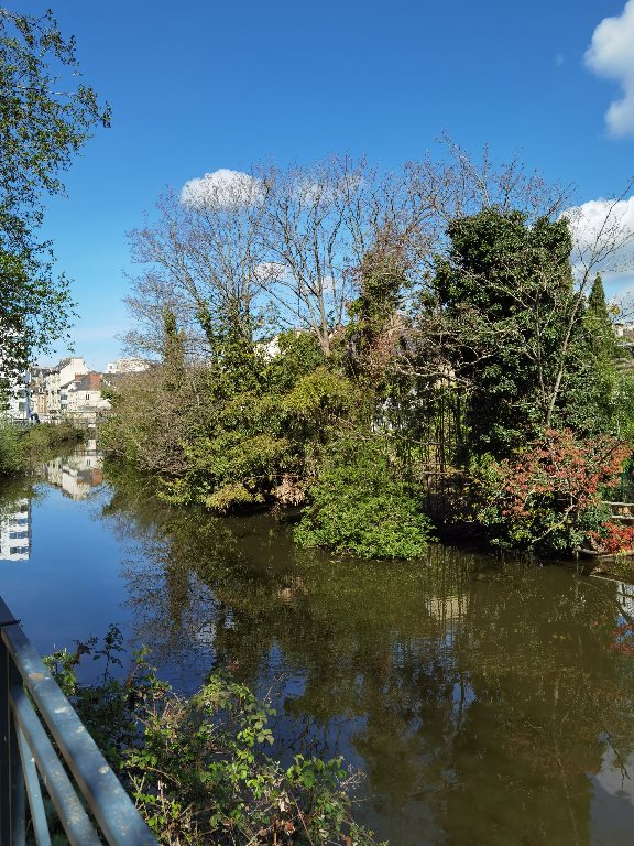 Appartement à louer, 24m², Rennes