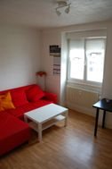 Appartement à louer, 38m², Strasbourg