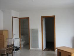 Appartement à louer, 42m², Plouay