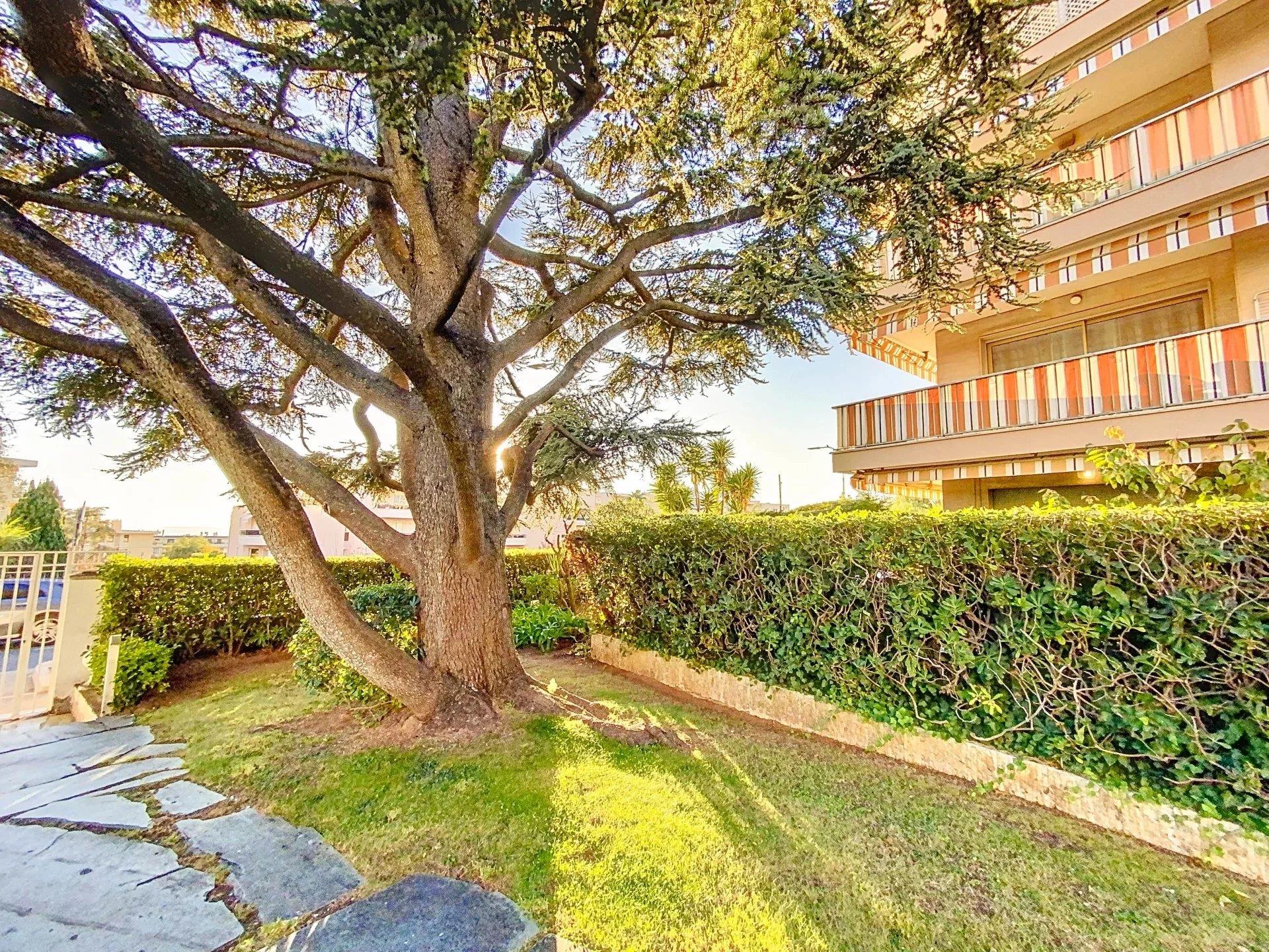 Appartement à vendre, 20m², Nice