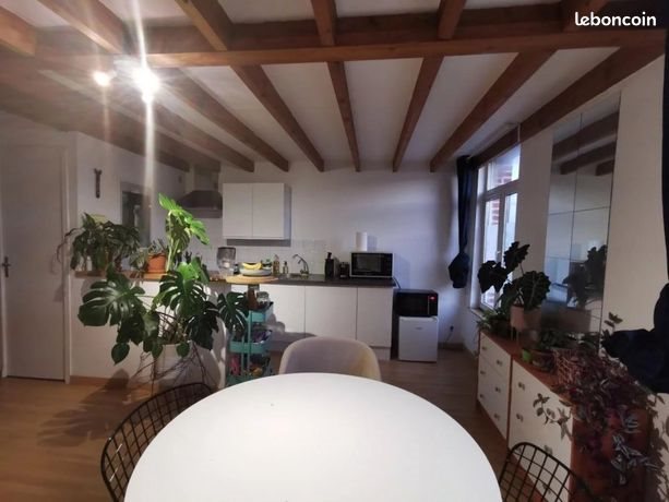 Appartement à louer, 31m², Lille