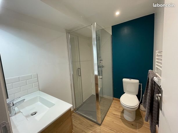 Appartement à louer, 55m², Saint-Galmier