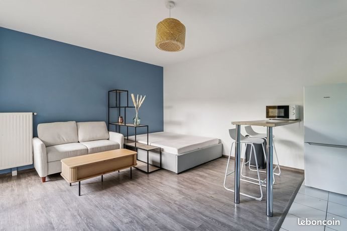 Appartement à louer, 30m², Lille
