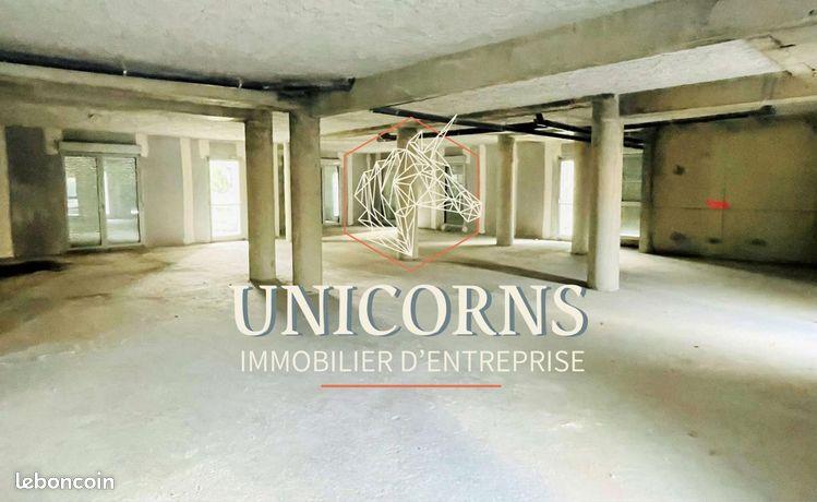 Maison à louer, 486m², Toulouse