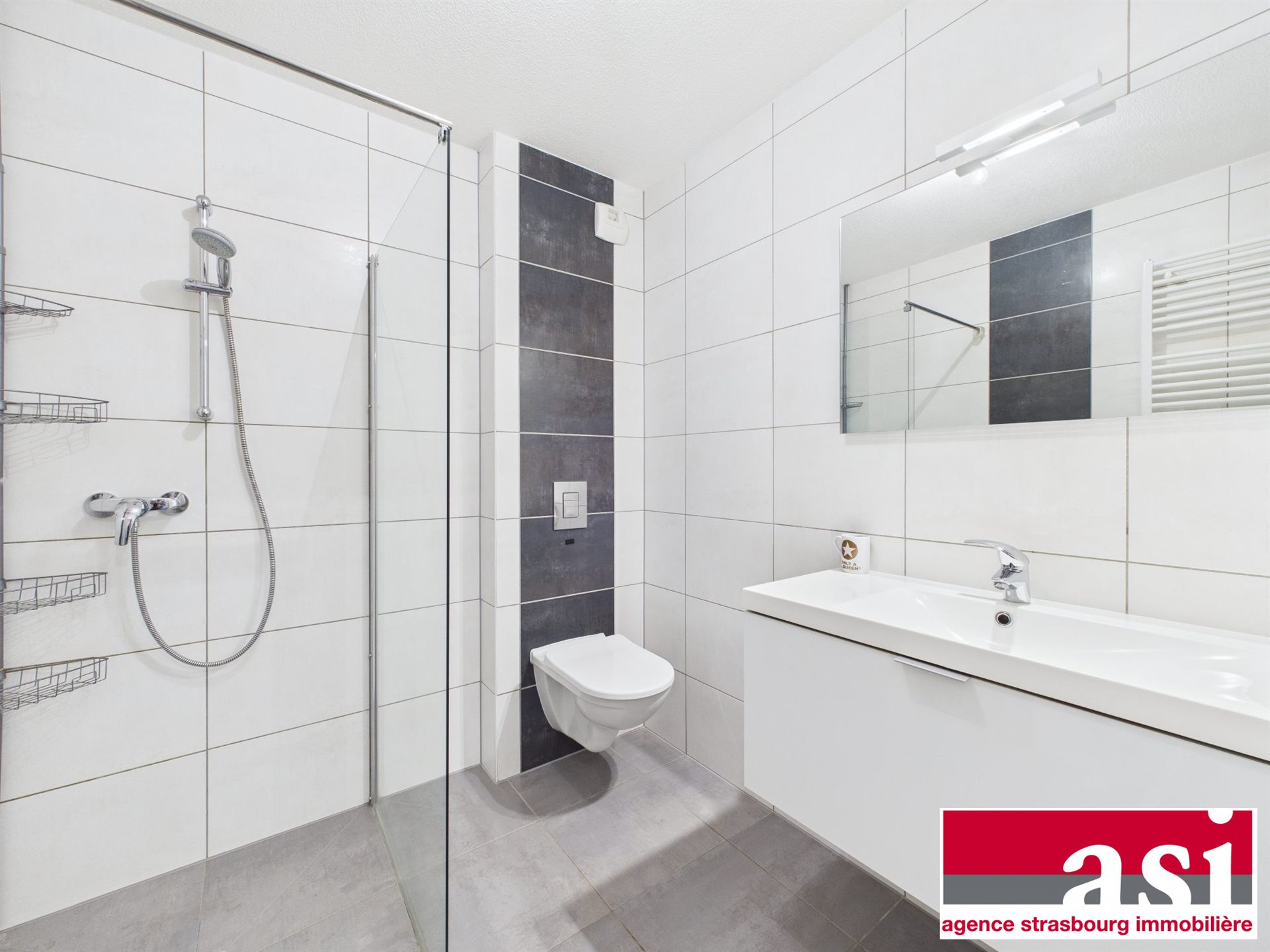 Appartement à vendre, 46m², Fegersheim