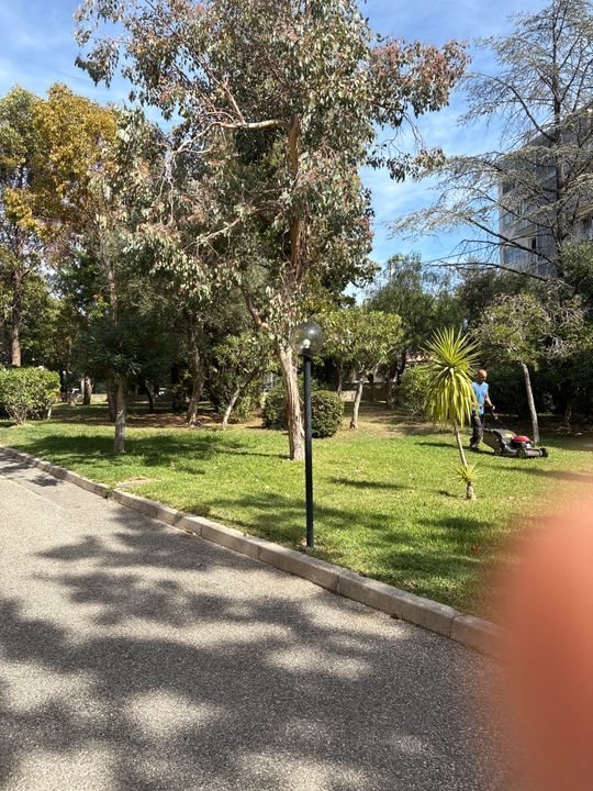 Appartement à louer, 21m², Vallauris